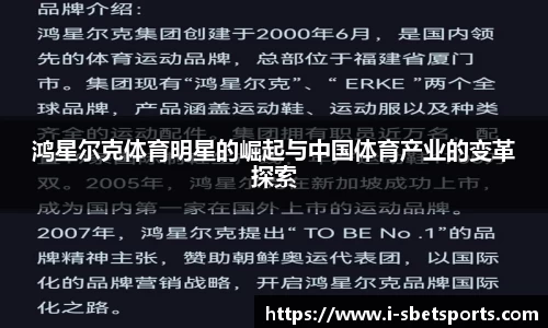 鸿星尔克体育明星的崛起与中国体育产业的变革探索